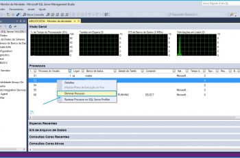 Monitor Totvs Developer Studio - TDS - ProtheusAdvpl